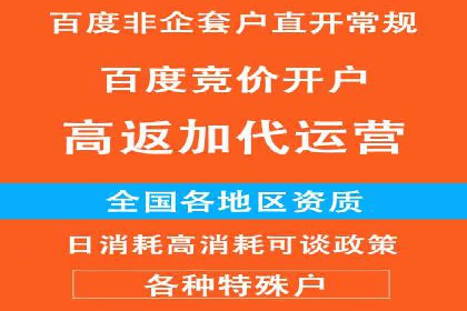 金融行业开户返点策略成功实例